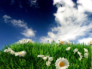 瓦房店市水果批發(fā)有限責任公司